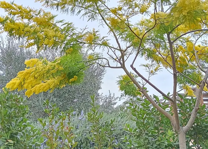 La Quercia Apartamento