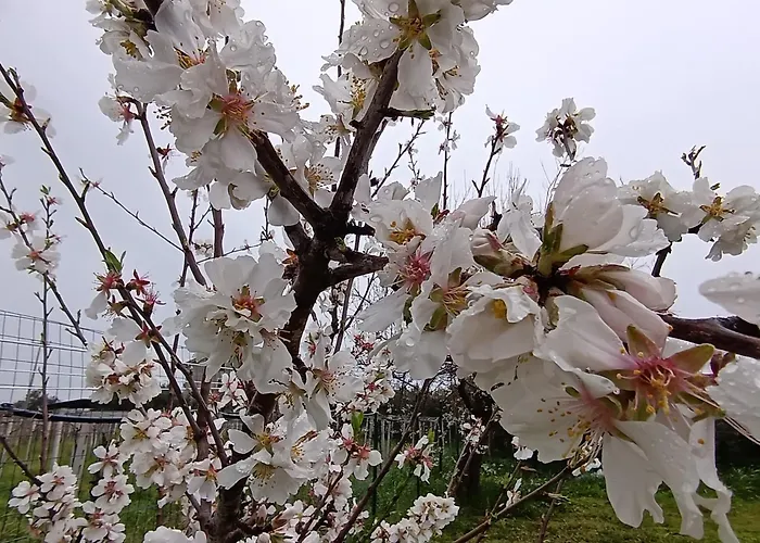 Apartamento La Quercia *