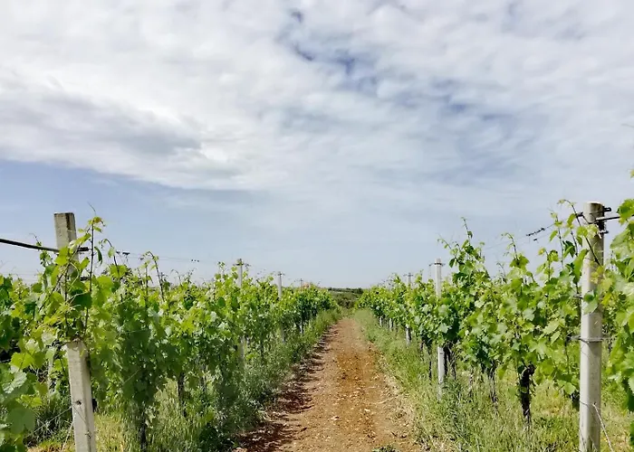 Apartamento La Quercia