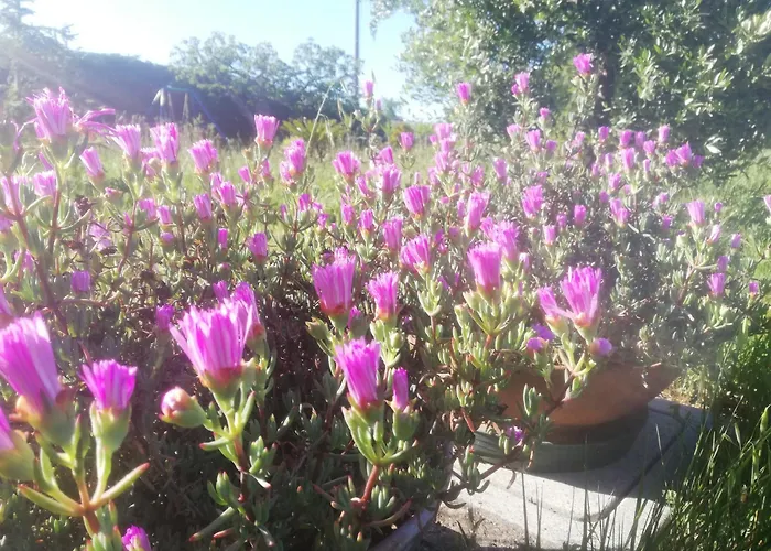 La Quercia Apartamento *