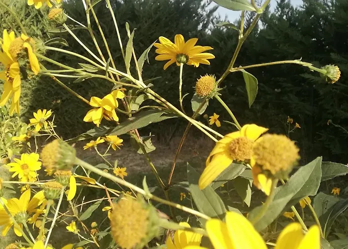 La Quercia Apartamento Ortona