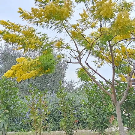 La Quercia Lägenhet