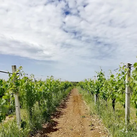 Апартаменты La Quercia