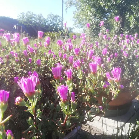 La Quercia Апартаменты *