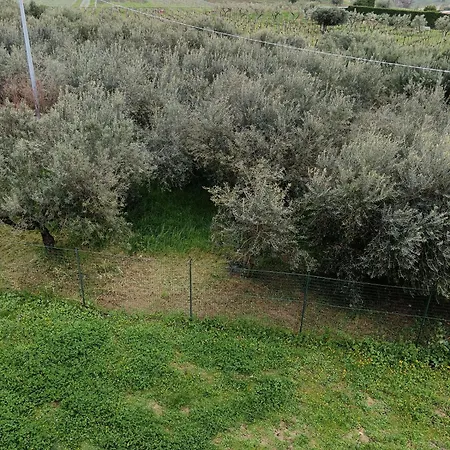 Apartment La Quercia