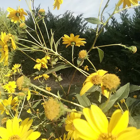 La Quercia アパート オルトーナ