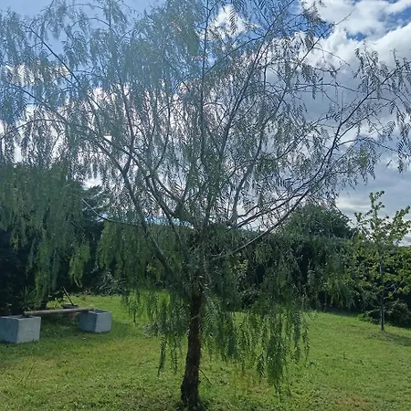 La Quercia